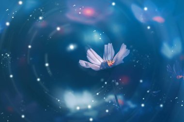 Dramatik çiçek arkaplanı; Doğa Arkaplanı