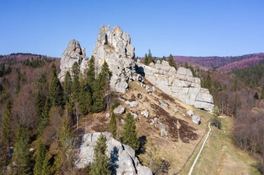 Ukrayna 'nın Karpat Dağları