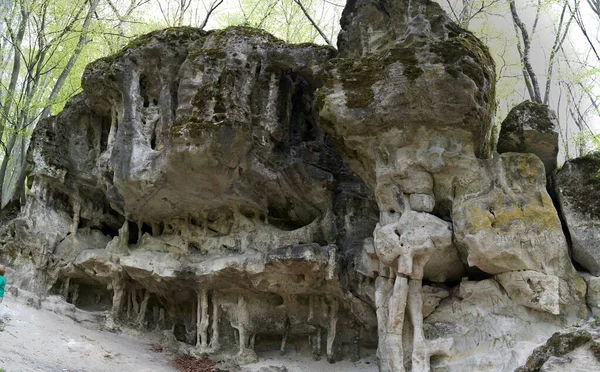 Bosque Pared Piedra Entrada Cueva — Foto de Stock