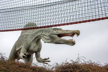 Polonya 'daki Dinoland Parkı Zator Inwald Parkı