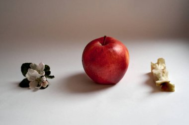 Arka planda elmaların yaşamından koçanlara