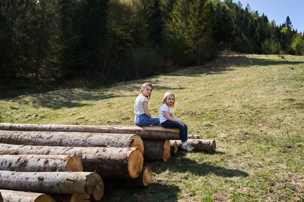 Vacation in the mountains on the felling trees in the spring — Stock Photo, Image