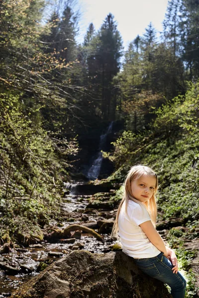 waterfall in mountains, untouched nature, mountain river