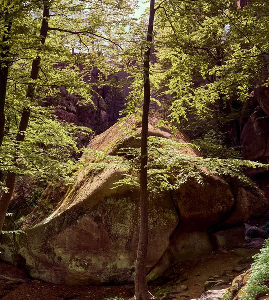 Sobre Natureza Das Rochas Floresta Montanhosa — Fotografia de Stock