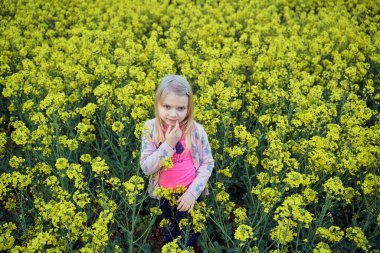 Kolza tohumu tarlasında genç bir kız