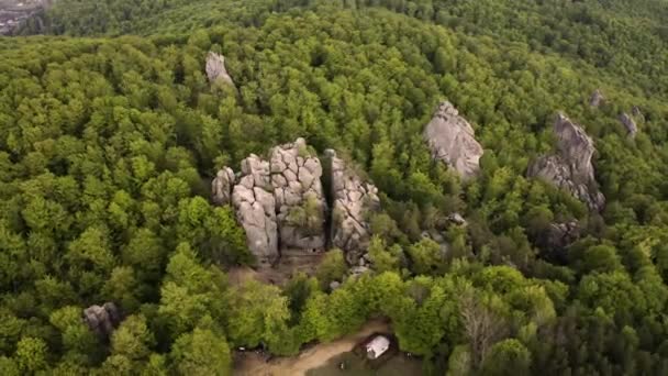 Pietre Dovbush Sulla Natura Delle Rocce Della Foresta Montagna — Video Stock