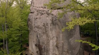 Dovbush dağ ormanlarının doğasında kayalar var. 