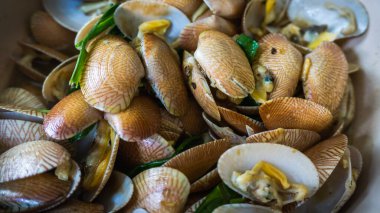 Lala 'nın yakın görüntüsü ya da istiridye sosu, zencefil, sarımsak ve soğanla pişirilmiş tuzlu su istiridyeleri. İnce ve dikdörtgen şekilli bir kabuğu var. Islak markette veya süpermarkette bulunabilir.