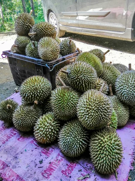 Stosy Owoców Duriana Czarnym Koszu Ziemi Sprzedaży Rynku Durian Jest — Zdjęcie stockowe