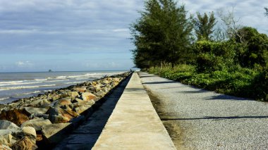 Sabah Pantai Manis 'in manzarası. Mavi gökyüzü, yeşil ağaç ve kumsaldaki kayalarla okyanusu ayıran bir çizgi..