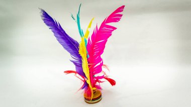 Chapteh ya da Sepak Bulu Ayam servis horozu, eski zamanlarda izole edilmiş beyaz arka planlı geleneksel bir oyundur. Olabildiğince çok tekmele ve hokkabazlık yap. Renkli tüyler bir tavuk tüyüdür..
