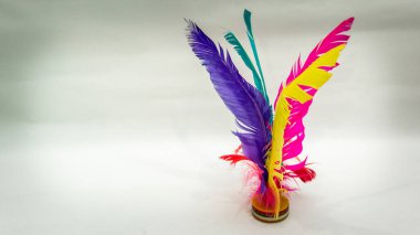Chapteh ya da Sepak Bulu Ayam servis horozu, eski zamanlarda izole edilmiş beyaz arka planlı geleneksel bir oyundur. Olabildiğince çok tekmele ve hokkabazlık yap. Renkli tüyler bir tavuk tüyüdür..