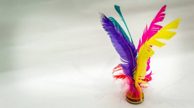 Chapteh ya da Sepak Bulu Ayam servis horozu, eski zamanlarda izole edilmiş beyaz arka planlı geleneksel bir oyundur. Olabildiğince çok tekmele ve hokkabazlık yap. Renkli tüyler bir tavuk tüyüdür..