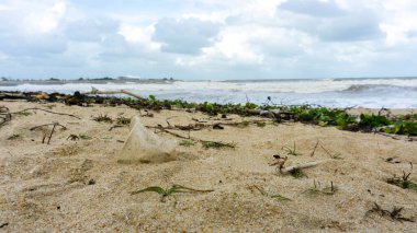 Kuala Terengganu 'daki Batu Burok Sahili' nde kumlu plajda boş bir plastik bardak. Çöplerle, çöplerle ve ıslak ağaç çubuklarıyla dolu pis bir sahil. Çevresel sorun kavramı