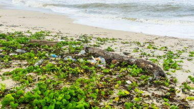 Kirli sahili olan güzel bir okyanus manzarası. Kuala Terengganu 'daki Batu Burok Sahili' nde plastik çöp ve tıbbi atık malzemeleriyle kumlu sahilde büyük bir mavi okyanus dalgası. Görüntü biraz bulanık.