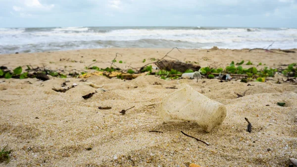 Ένα Άδειο Πλαστικό Κύπελλο Στην Αμμώδη Παραλία Στο Batu Burok — Φωτογραφία Αρχείου
