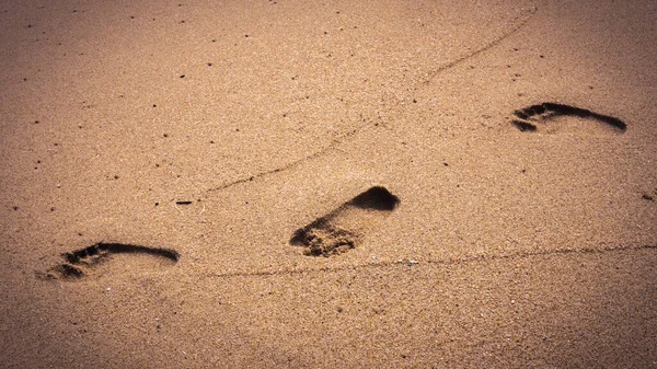 Close Textured Background Footprint Man Walking Sand Beach Sunset — Stock Photo, Image