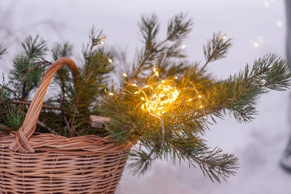 Firavun dalları hasır bir sepetin içinde, karda parlayan bir çelenk - Noel ruhu — Stok fotoğraf
