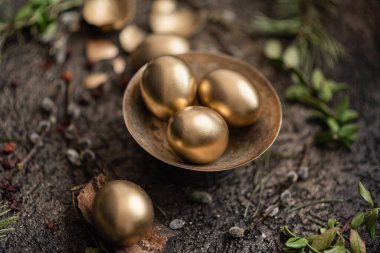 Altın paskalya yumurtaları koyu bir zemin üzerine serpilmiş ve kuru yeşil dalları vardır. Altın kasedeki yumurtalar.