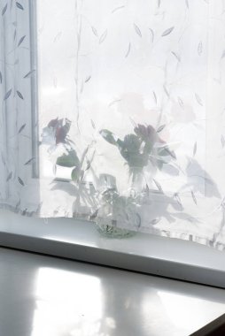 Perdenin arkasındaki güneş tarafından aydınlatılan pencerenin görüntüsü