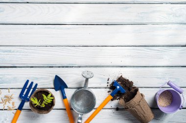 Beyaz ahşap arka planda mesaj için yer var. Bir konsept olarak bitki tohumları için bahçe araçları.