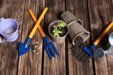 Tahta kahverengi arkaplan ve metin için yer var. Bir konsept olarak bitki tohumları için bahçe araçları.