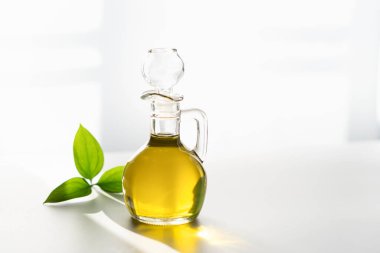 Pencerenin önünde, yeşil yapraklı beyaz bir arka planda bir sürahide zeytinyağı.