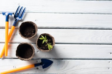 Beyaz ahşap arka planda mesaj için yer var. Bir konsept olarak bitki tohumları için bahçe araçları.