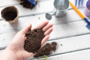 El, bahçe aletlerinin arka planında fidanlar için zemin tutar.