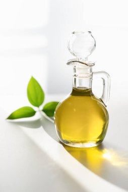 Pencerenin önünde, yeşil yapraklı beyaz bir arka planda bir sürahide zeytinyağı.