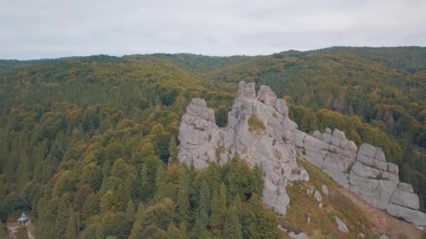 Beeindruckende Drohnenaufnahmen der Berghügel im Wald. Herbst. Luftbild — Stockvideo