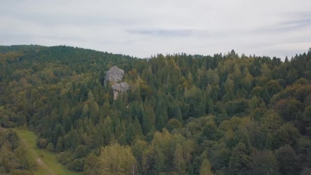 Εντυπωσιακή βολή από τους λόφους του βουνού στο δάσος. Φθινόπωρο. Αεροφωτογραφία — Αρχείο Βίντεο