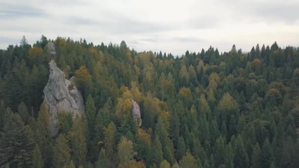 Impressionnant tir de drone des collines de montagne dans la forêt. Automne. Vue aérienne — Video