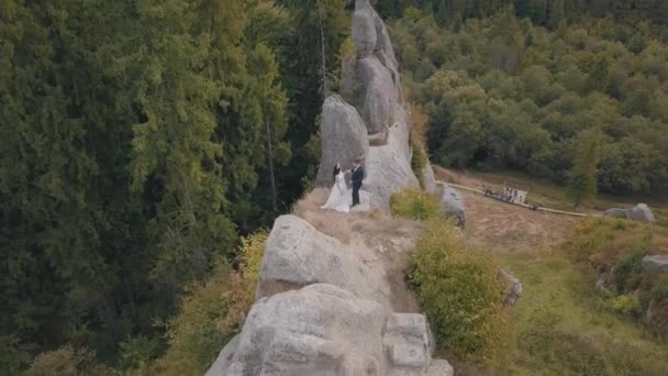 A friss házasok a hegy magas lejtőjén állnak. Vőlegény és menyasszony. Légi felvétel — Stock videók