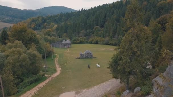 Newlyweds running toward each other. Groom and bride. Aerial view — Stock Video