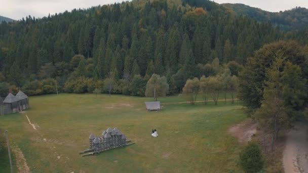 Les jeunes mariés dansent ensemble près de la forêt. Mariée et fiancée. Vue aérienne — Video