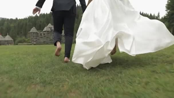 Bräutigam mit Braut läuft. Blick von hinten. Hochzeitspaar verliebt — Stockvideo