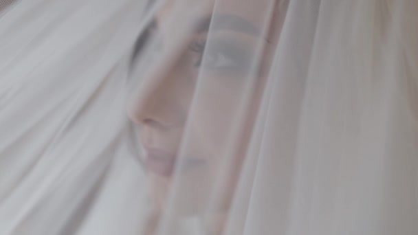 Rostro de hermosa y encantadora novia en vestido de noche bajo el velo. Boda — Vídeos de Stock