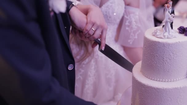 A noiva e o noivo estão a cortar o bolo de casamento. Corte de mãos de uma parte de um bolo — Vídeo de Stock
