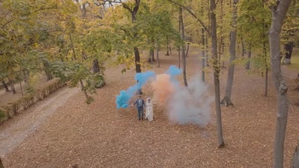 Caucasian groom with bride in the park. Wedding couple. Smoke bombs. Newlyweds — 비디오