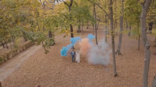 Novio caucásico con novia en el parque. Pareja de bodas. Bombas de humo. Recién casados — Vídeo de stock