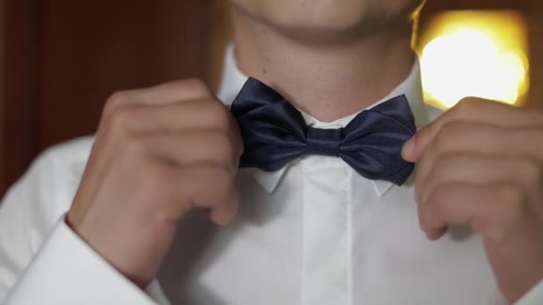 Groom adjusts bow tie. Preparing to go to the bride. Businessman. Wedding day — Stock Video