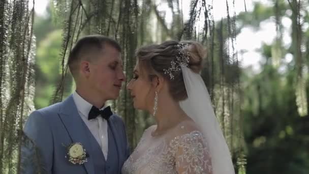 Sposi novelli. Sposo caucasico con sposa nel parco. Matrimonio. Famiglia felice — Video Stock