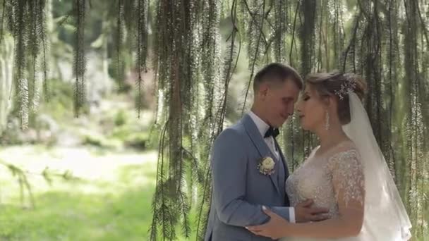 Recién casados. novio caucásico con novia en el parque. Pareja de bodas. Familia feliz — Vídeos de Stock