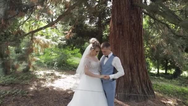 Pasgetrouwden. Blanke bruidegom met bruid in het park. Bruidspaar. Gelukkige familie — Stockvideo