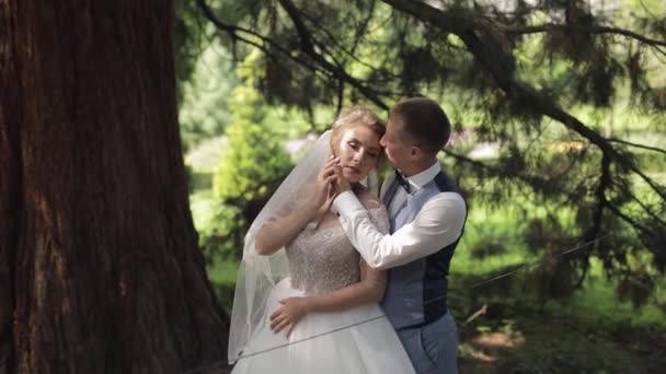 Молодожёны. Кавказский жених с невестой в парке. Свадебная пара. Счастливая семья — стоковое видео