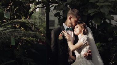 Yeni evliler. Parkta gelinle birlikte beyaz damat. Düğün çifti. Mutlu aile