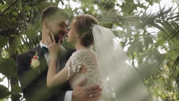 Newlyweds. Caucasian groom with bride in the park. Wedding couple. Happy family — Stock Video