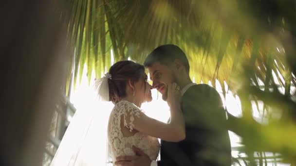 Recién casados. novio caucásico con novia en el parque. Pareja de bodas. Familia feliz — Vídeo de stock