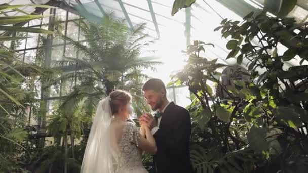 Recién casados. novio caucásico con novia en el parque. Pareja de bodas. Familia feliz — Vídeos de Stock